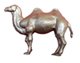 camel_vSMALL