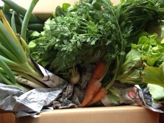 Vege.box_april2017